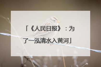 《人民日报》：为了一泓清水入黄河