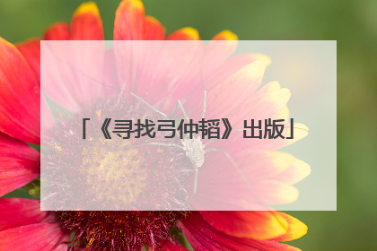 《寻找弓仲韬》出版