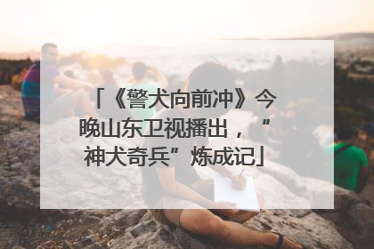 《警犬向前冲》今晚山东卫视播出，“神犬奇兵”炼成记