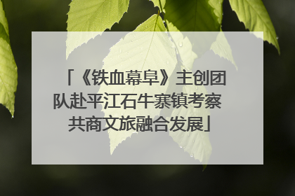 《铁血幕阜》主创团队赴平江石牛寨镇考察 共商文旅融合发展
