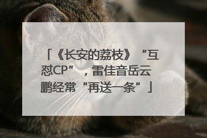 《长安的荔枝》“互怼CP”，雷佳音岳云鹏经常“再送一条”