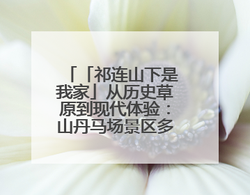 「祁连山下是我家」从历史草原到现代体验：山丹马场景区多维升级 解锁五一文旅新玩法