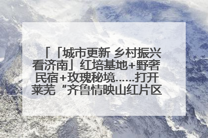 「城市更新 乡村振兴看济南」红培基地+野奢民宿+玫瑰秘境……打开莱芜“齐鲁情映山红片区”的破圈秘籍
