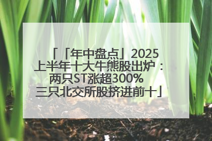「年中盘点」2025上半年十大牛熊股出炉：两只ST涨超300% 三只北交所股挤进前十
