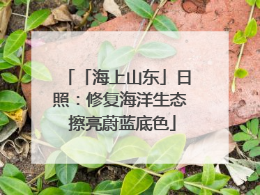 「海上山东」日照：修复海洋生态 擦亮蔚蓝底色