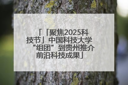 「聚焦2025科技节」中国科技大学“组团”到贵州推介前沿科技成果