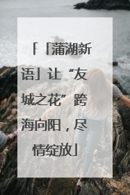 「蒲湖新语」让“友城之花”跨海向阳，尽情绽放