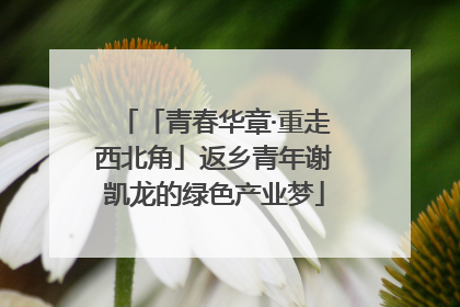 「青春华章·重走西北角」返乡青年谢凯龙的绿色产业梦
