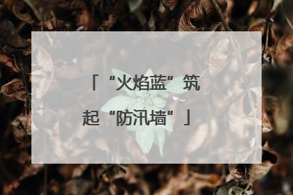 “火焰蓝”筑起“防汛墙”