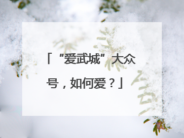 “爱武城”大众号，如何爱？