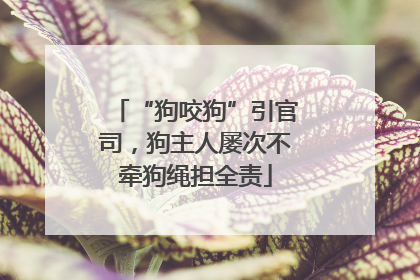 “狗咬狗”引官司，狗主人屡次不牵狗绳担全责