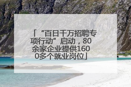 “百日千万招聘专项行动”启动，80余家企业提供1600多个就业岗位