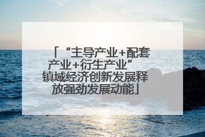 “主导产业+配套产业+衍生产业” 镇域经济创新发展释放强劲发展动能