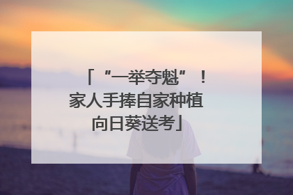 “一举夺魁”！家人手捧自家种植向日葵送考