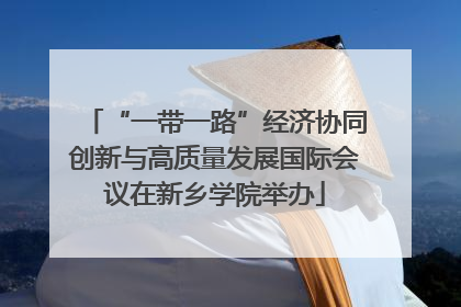 “一带一路”经济协同创新与高质量发展国际会议在新乡学院举办