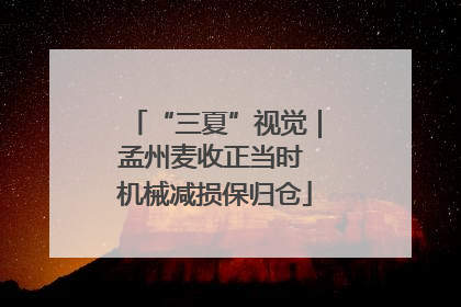 “三夏”视觉｜孟州麦收正当时 机械减损保归仓