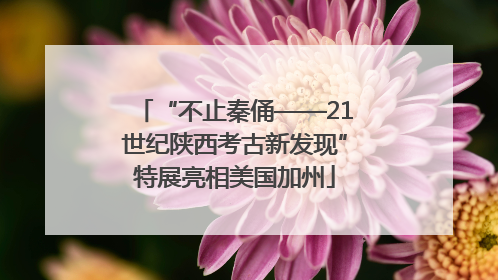 “不止秦俑——21世纪陕西考古新发现”特展亮相美国加州