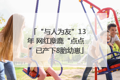 “与人为友”13年 网红麋鹿“点点”已产下8胎幼崽