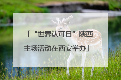 “世界认可日”陕西主场活动在西安举办
