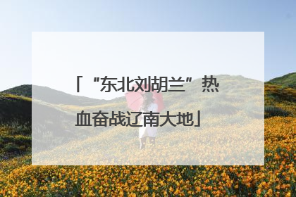 “东北刘胡兰”热血奋战辽南大地