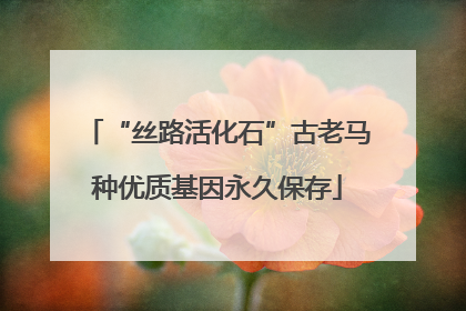 “丝路活化石”古老马种优质基因永久保存