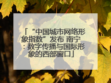“中国城市网络形象指数”发布 南宁：数字传播与国际形象的西部窗口