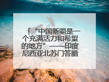 “中国新疆是一个充满活力和希望的地方”——印度尼西亚北苏门答腊省伊斯兰教代表团参访新疆