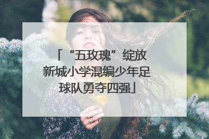 “五玫瑰”绽放 新城小学混编少年足球队勇夺四强