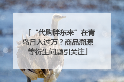 “代购胖东来”在青岛月入过万？商品溯源等衍生问题引关注