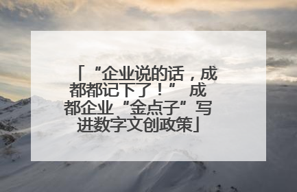 “企业说的话，成都都记下了！” 成都企业“金点子”写进数字文创政策