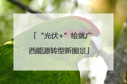“光伏+”绘就广西能源转型新图景