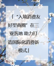“入境消费友好型商圈”在三亚落地 助力打造国际化消费新模式