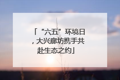 “六五”环境日，大兴廊坊携手共赴生态之约