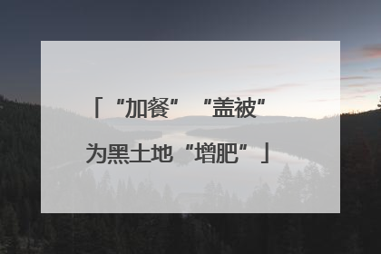 “加餐”“盖被” 为黑土地“增肥”