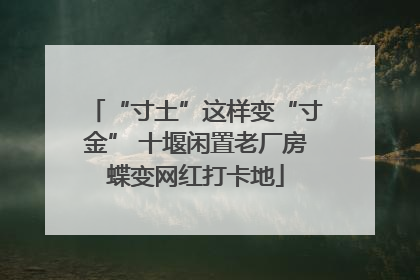 “寸土”这样变“寸金” 十堰闲置老厂房蝶变网红打卡地