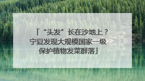 “头发”长在沙地上？宁夏发现大规模国家一级保护植物发菜群落