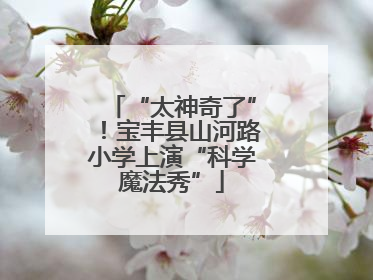 “太神奇了”！宝丰县山河路小学上演“科学魔法秀”