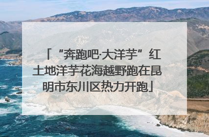 “奔跑吧·大洋芋”红土地洋芋花海越野跑在昆明市东川区热力开跑