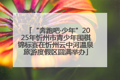 “奔跑吧·少年”2025年忻州市青少年围棋锦标赛在忻州云中河温泉旅游度假区圆满举办