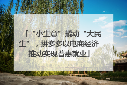 “小生意”撬动“大民生”，拼多多以电商经济推动实现普惠就业
