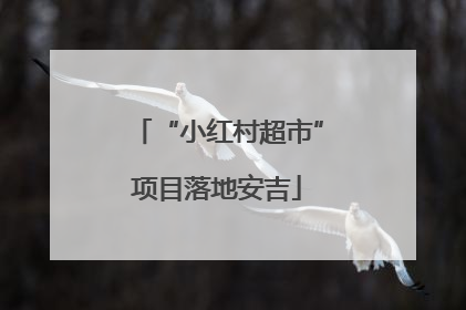 “小红村超市”项目落地安吉