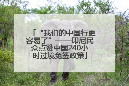 “我们的中国行更容易了”——印尼民众点赞中国240小时过境免签政策