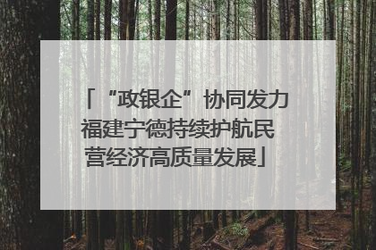 “政银企”协同发力 福建宁德持续护航民营经济高质量发展