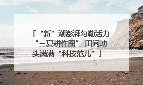 “新”潮澎湃勾勒活力“三夏耕作图” 田间地头满满“科技范儿”