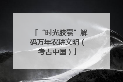 “时光胶囊”解码万年农耕文明（考古中国）
