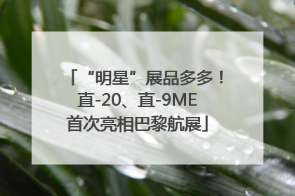 “明星”展品多多！直-20、直-9ME首次亮相巴黎航展