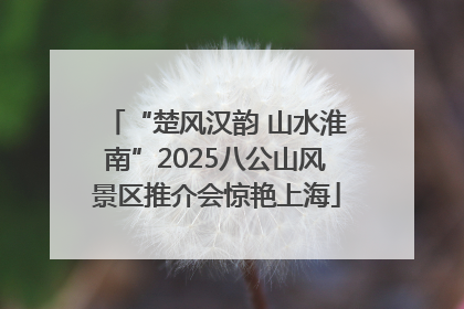 “楚风汉韵 山水淮南”2025八公山风景区推介会惊艳上海