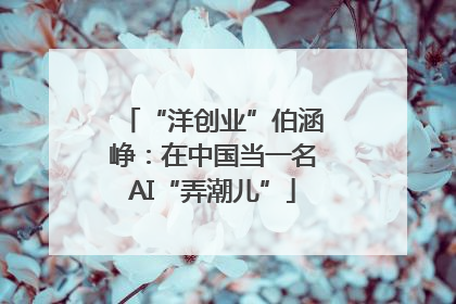 “洋创业”伯涵峥：在中国当一名AI“弄潮儿”