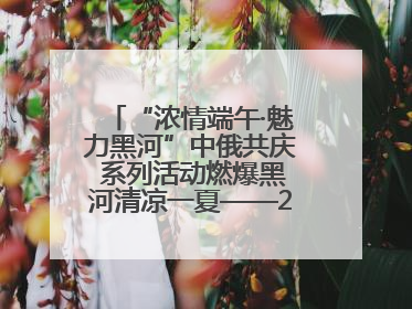 “浓情端午·魅力黑河”中俄共庆 系列活动燃爆黑河清凉一夏——2025年黑河夏季群众文化活动启幕 多元文化赋能边境文旅新高地