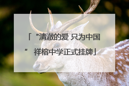 “清澈的爱 只为中国” 祥榕中学正式挂牌